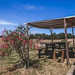 مزرعة للإقامة Masseria Del Bosco Palazzone