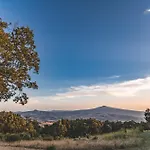 Masseria Del Bosco Palazzone تْشيانشانو  تيرمي