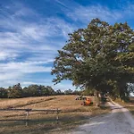 مزرعة للإقامة Masseria Del Bosco Palazzone تْشيانشانو  تيرمي